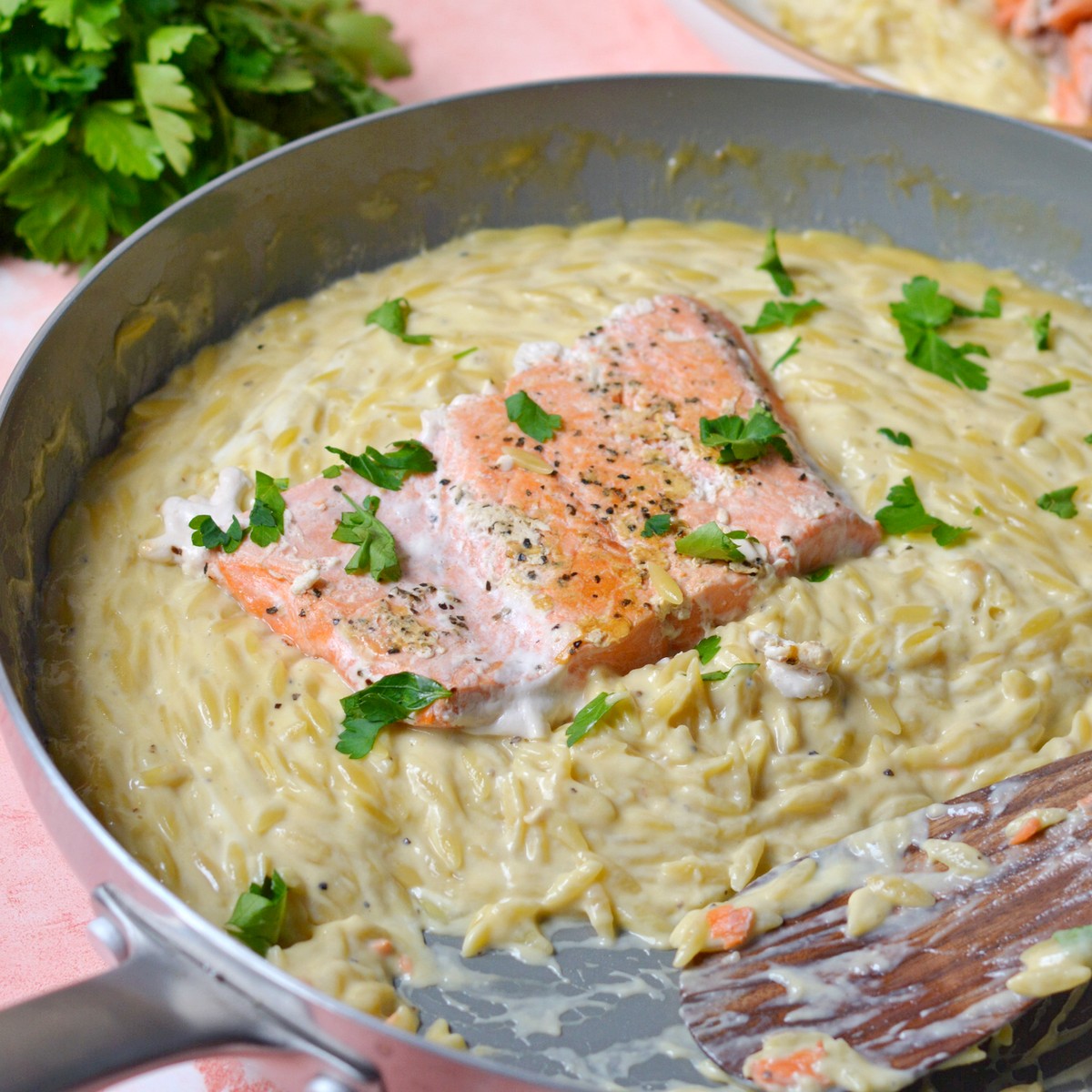 Salmon fillet in the alfredo orzo in the pan.