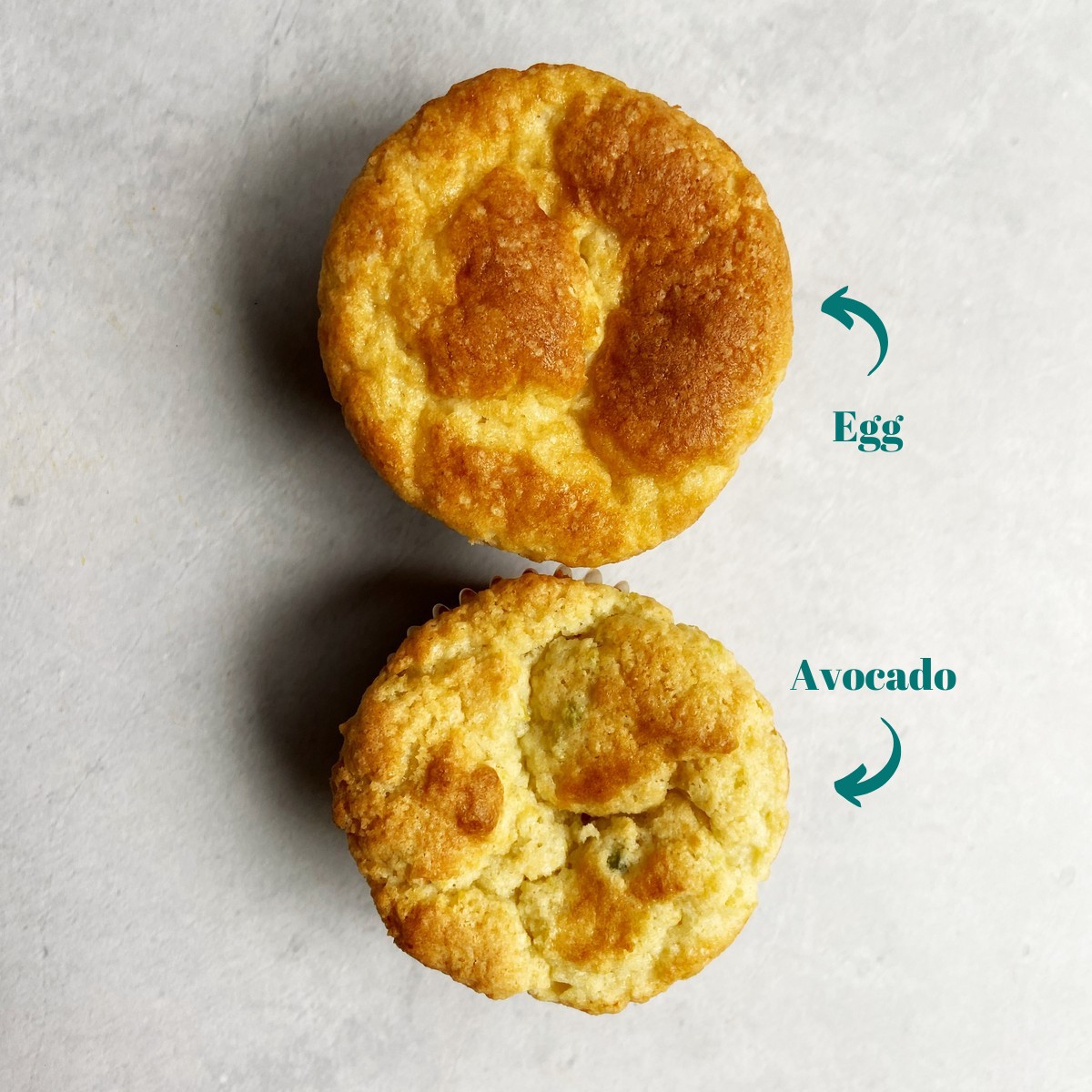 A muffin made with egg and another made with avocado.