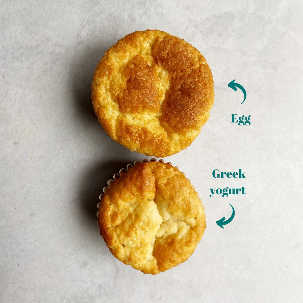 A muffin made with egg and another made with Greek yogurt.