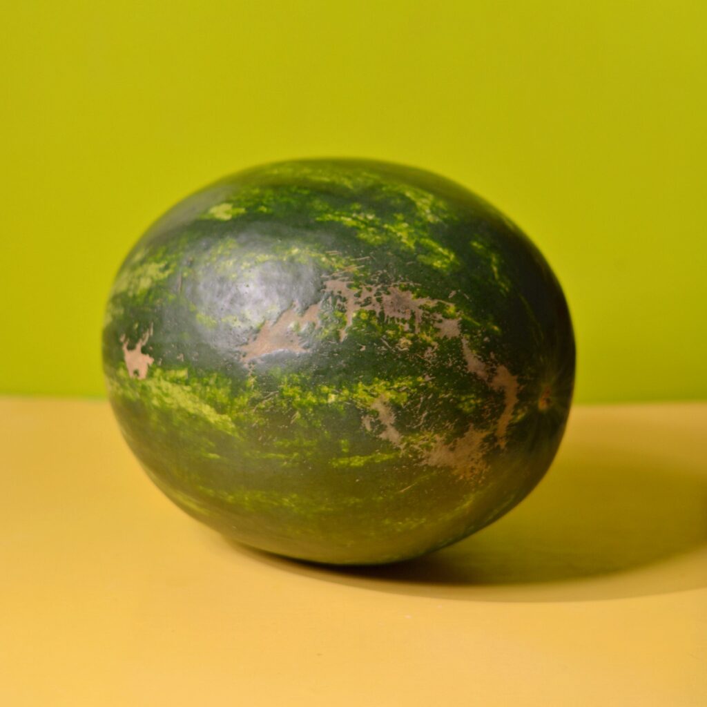 A watermelon with brown webbing.