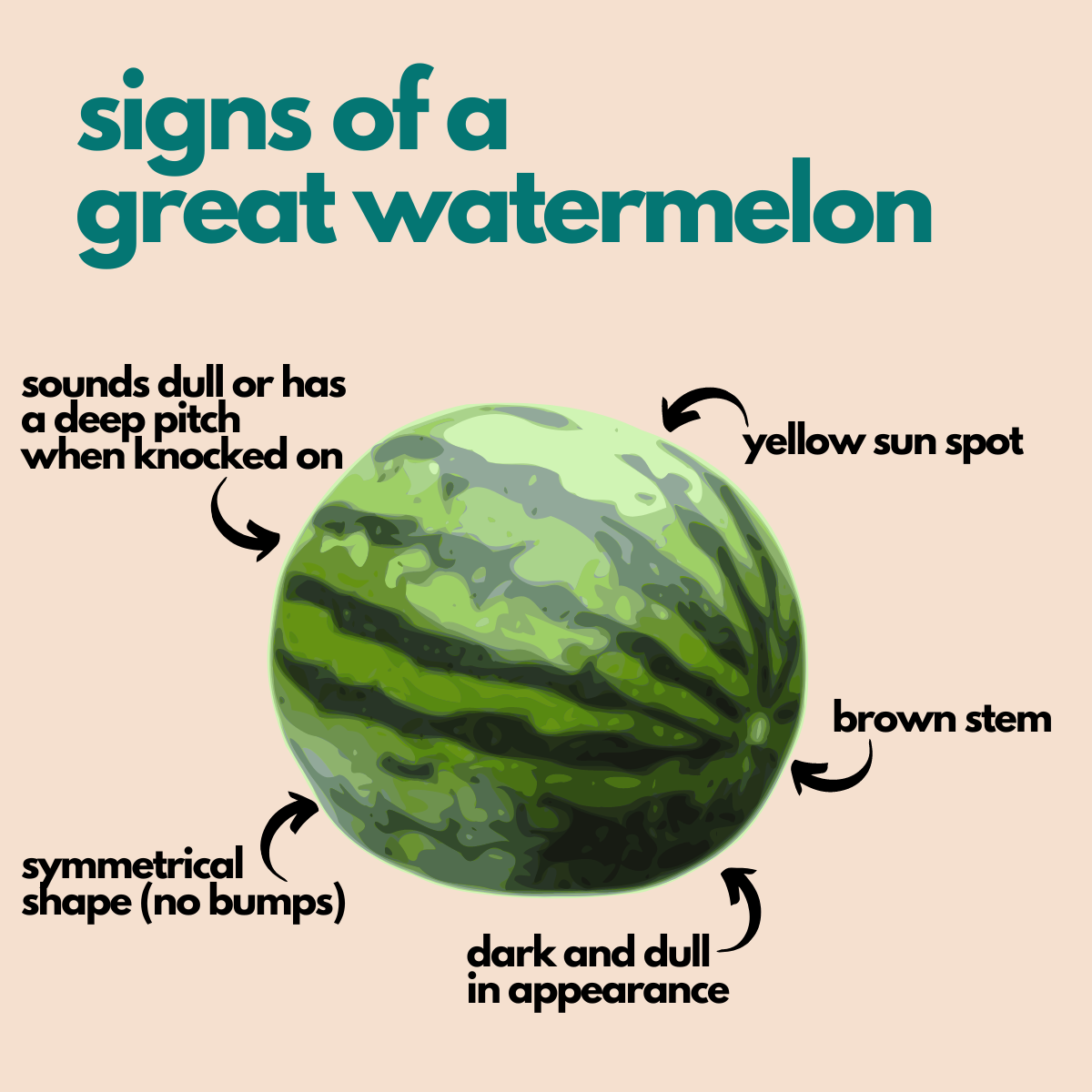 Signs of a great watermelon graphic including sound, color, stem appearance, and a sun spot.