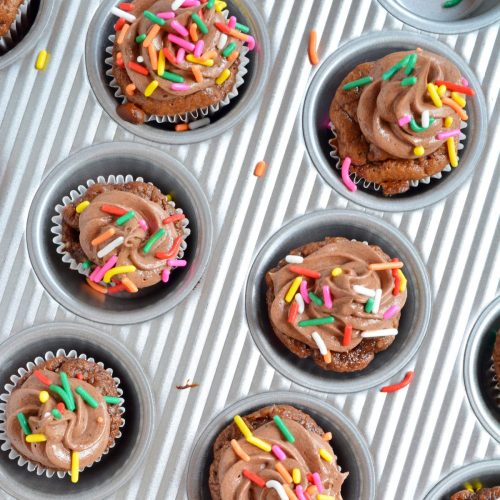 Mini chocolate cupcakes with chocolate frosting and sprinkles in a muffin tin.
