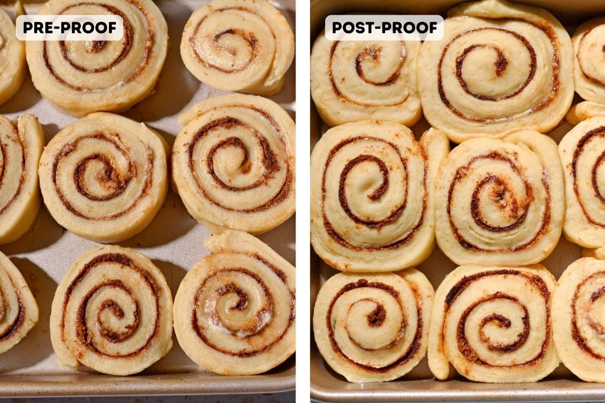 Image showing pre-proof and after the proofing the rolls in a pan.