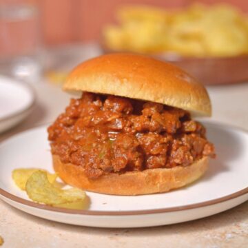 Bison sloppy joes on a bun with chips on the side.