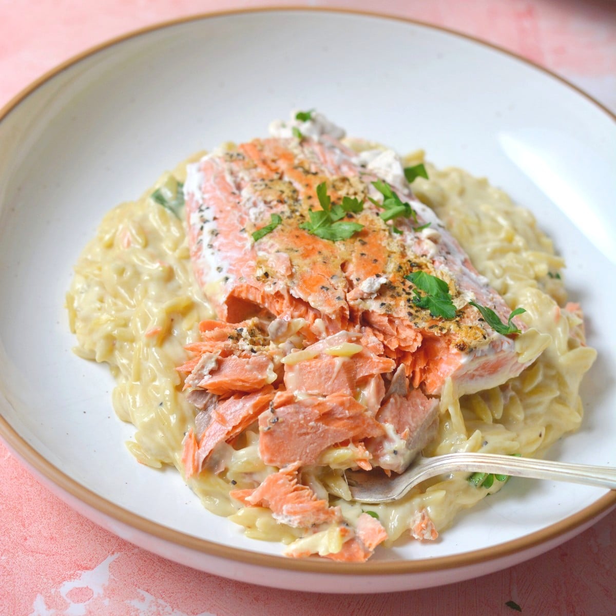 A dish with orzo and salmon on top.