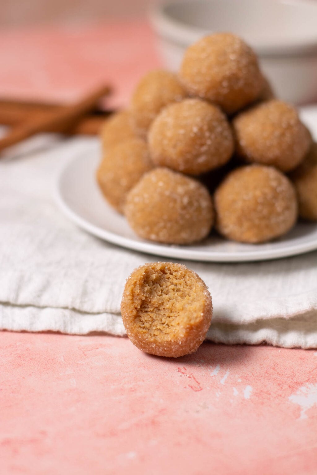 Snickerdoodle Protein Balls