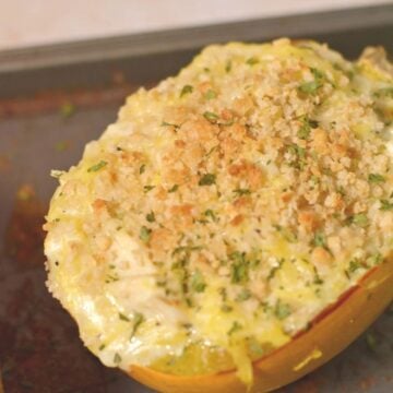 A picture of boursin spaghetti squash.