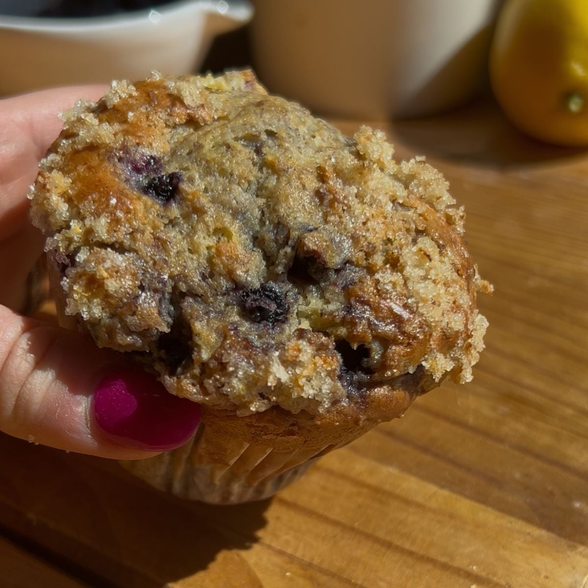 A high protein blueberry muffin inside a paper muffin cup with a hand holding it.