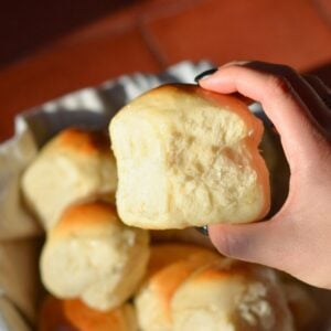 A hand holding a fluffy protein dinner roll.