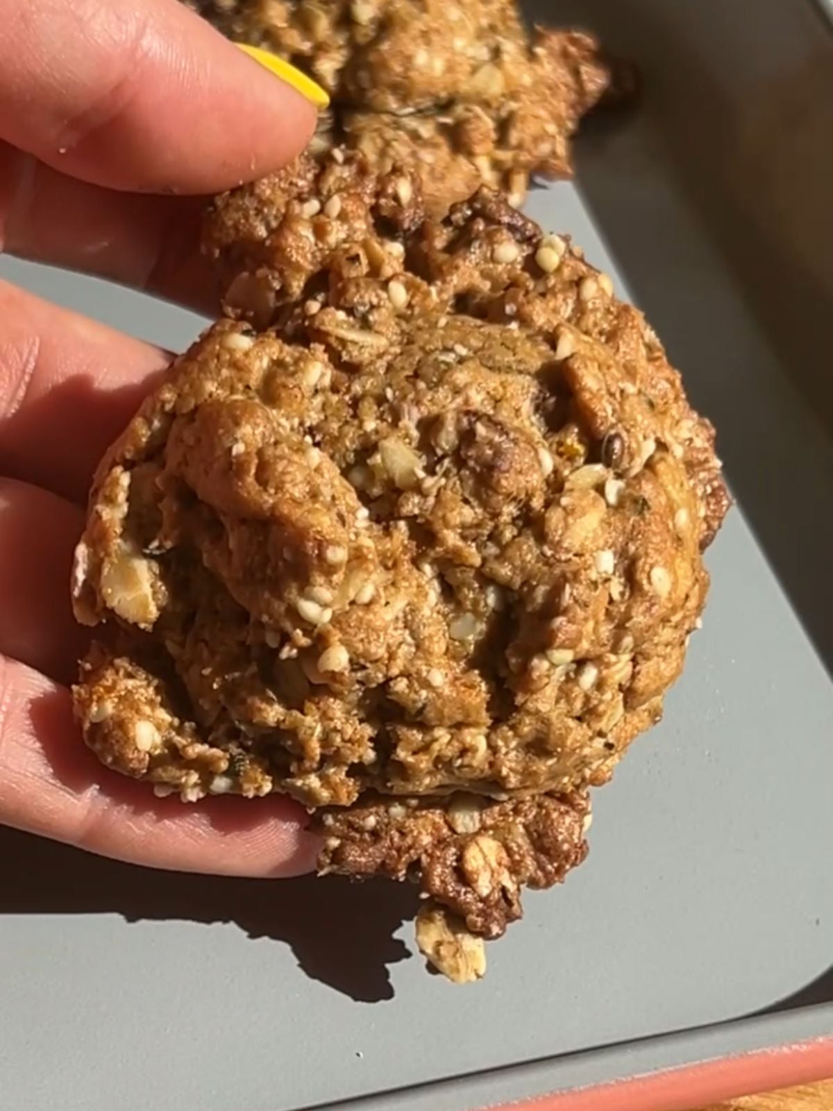 Hand holding a protein oatmeal cookie baked.