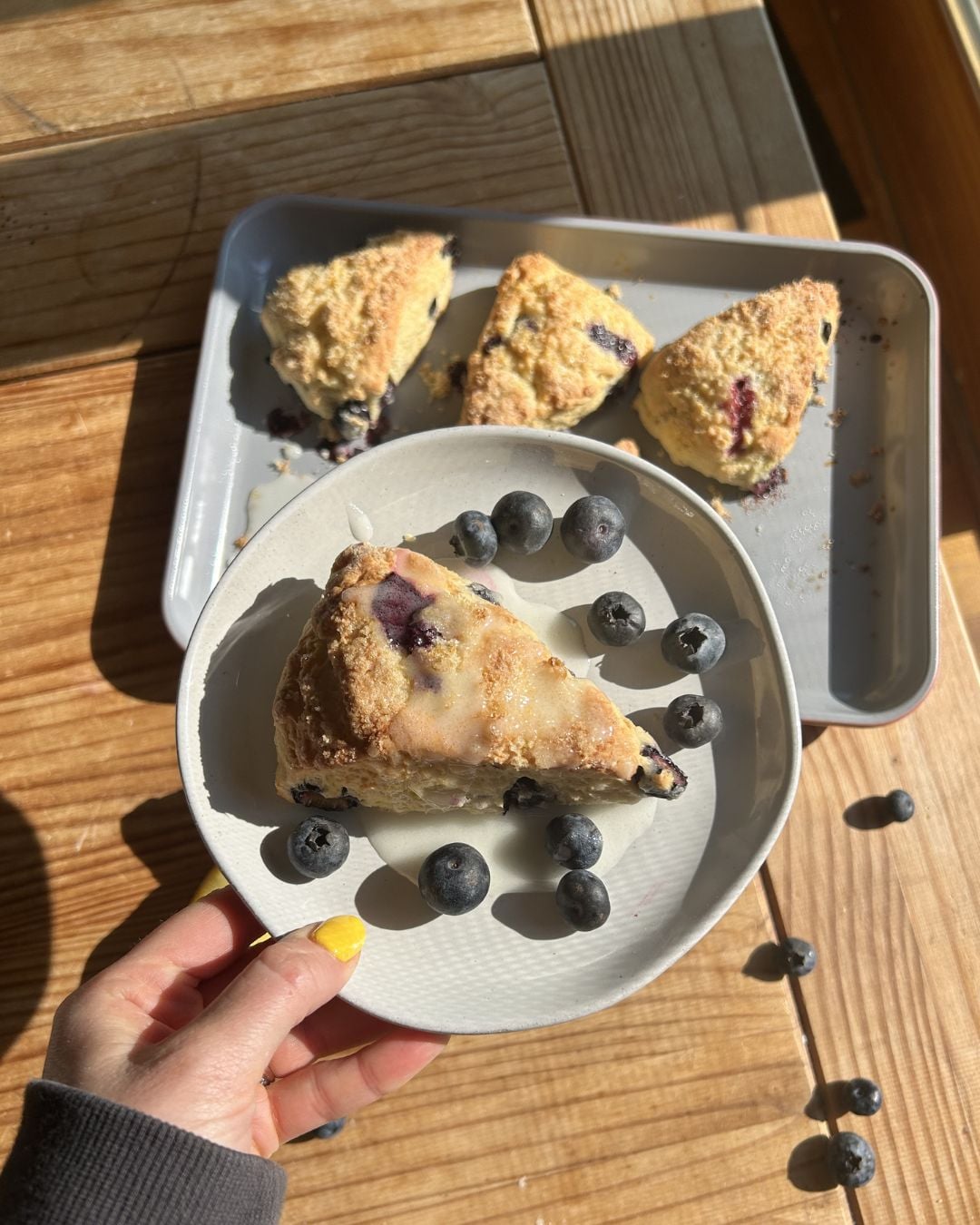 A hand holding a blueberry lemon cottage cheese scone on a plate with glaze.