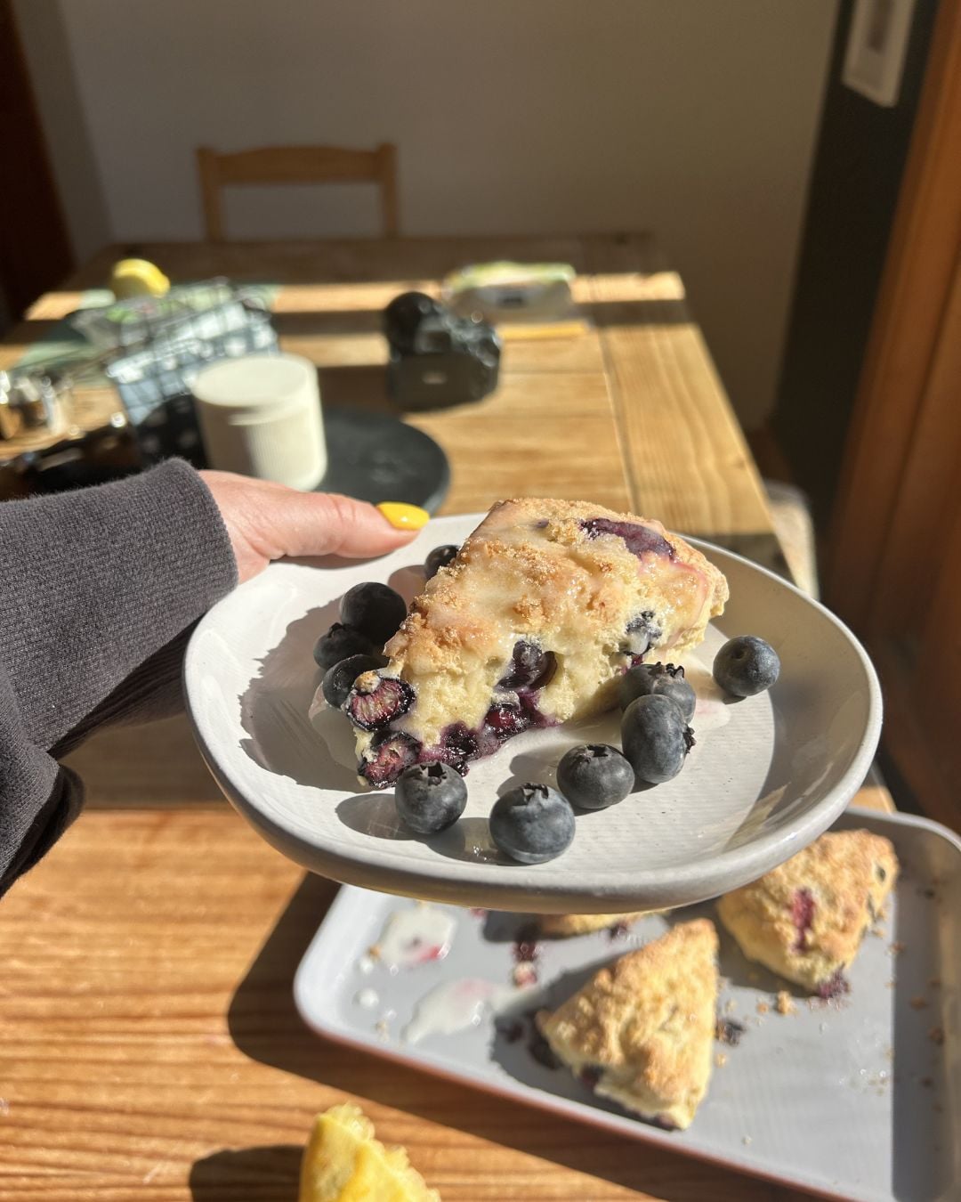 A cottage cheese scone on a plate with bleuberries.