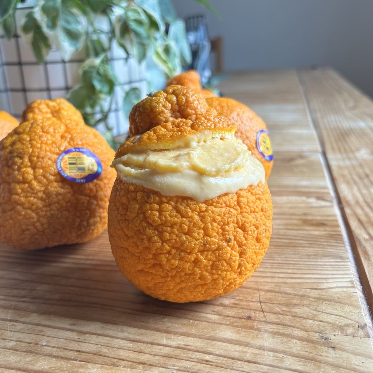 The cottage cheese ice cream in the orange peel cup.