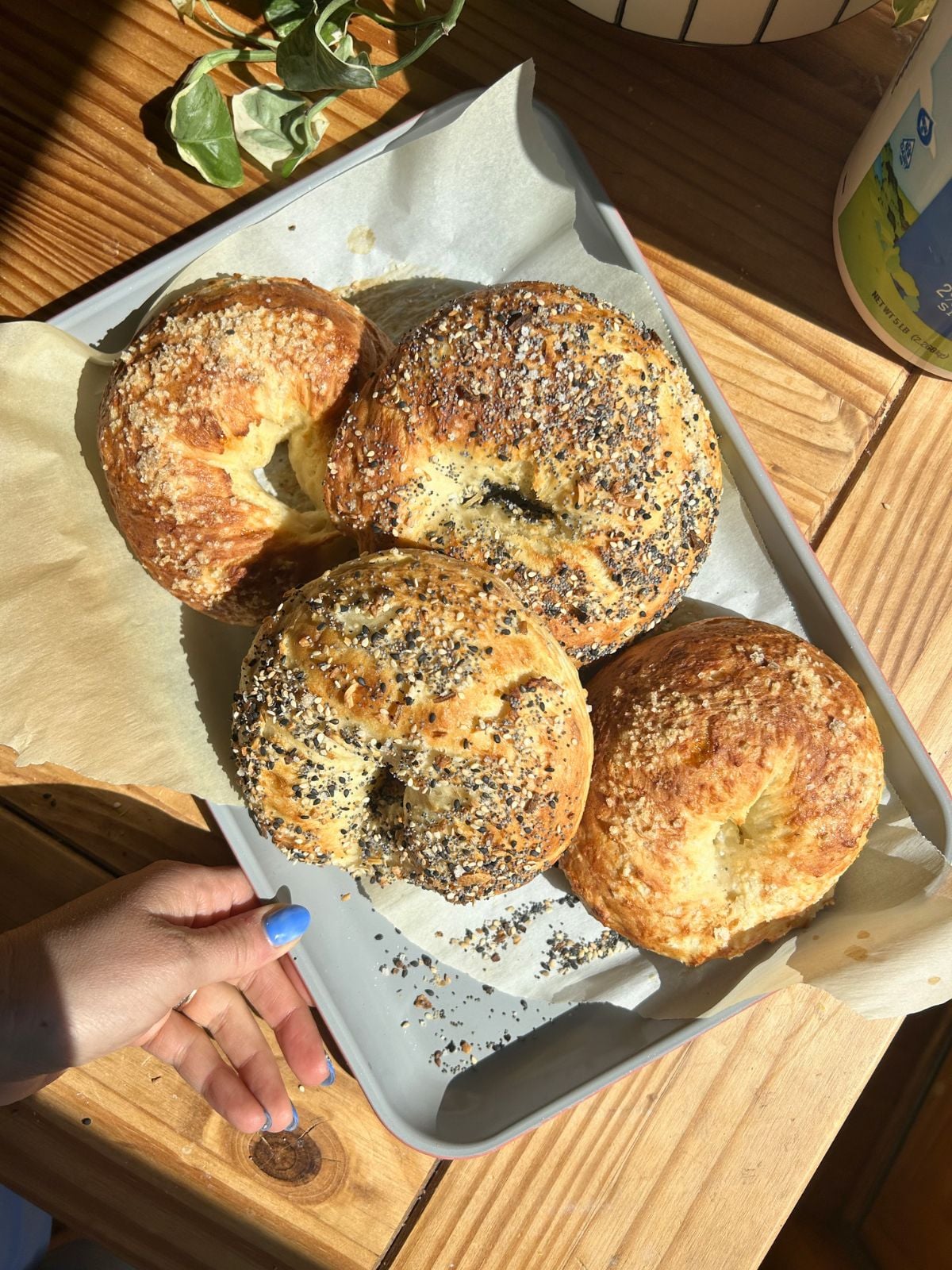 A tray with four cottage cheese bagels.