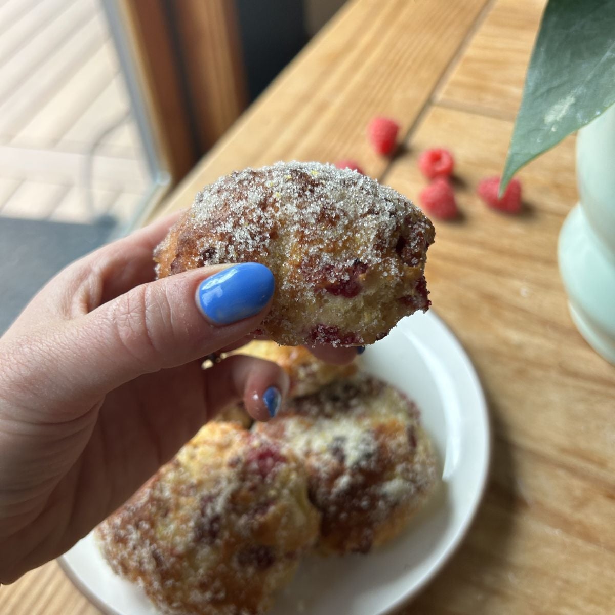 A hand holding a greek yogurt donut.