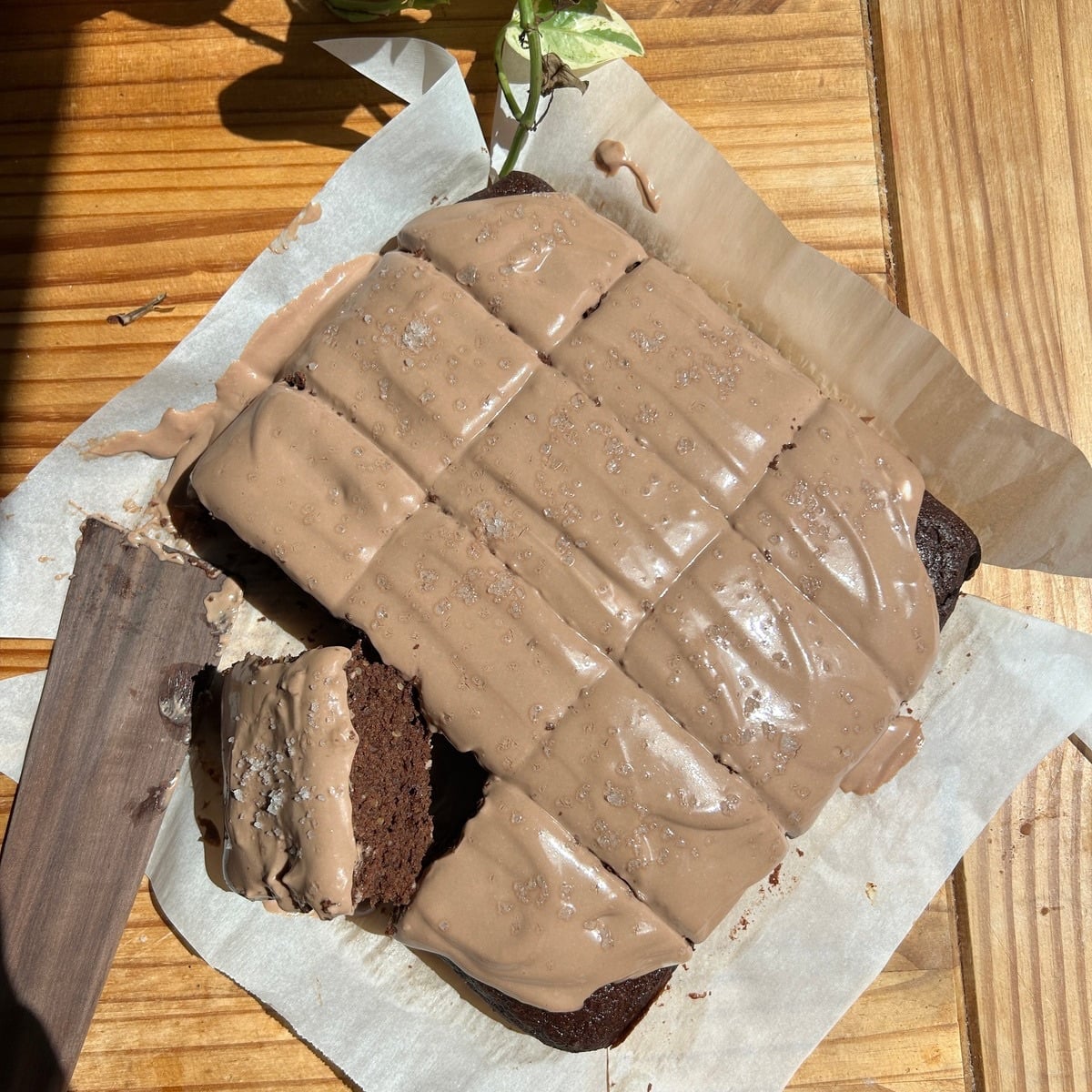 Frosted chocolate cottage cheese cake cut into slices.