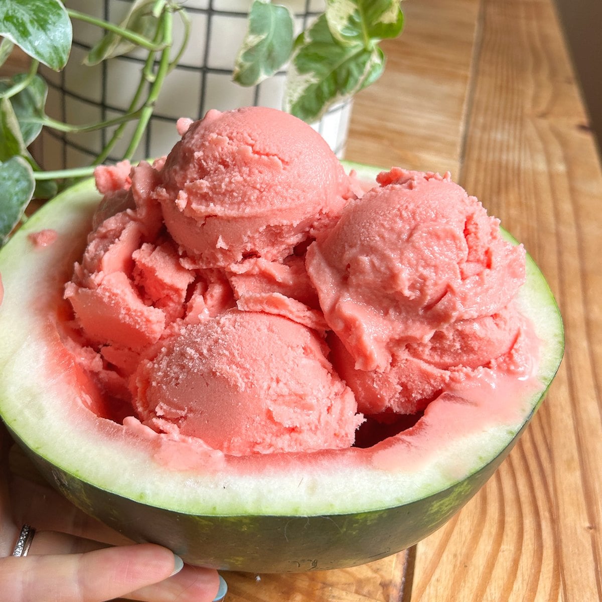 Watermelon sorbet scoops in an empty watermelon rind.