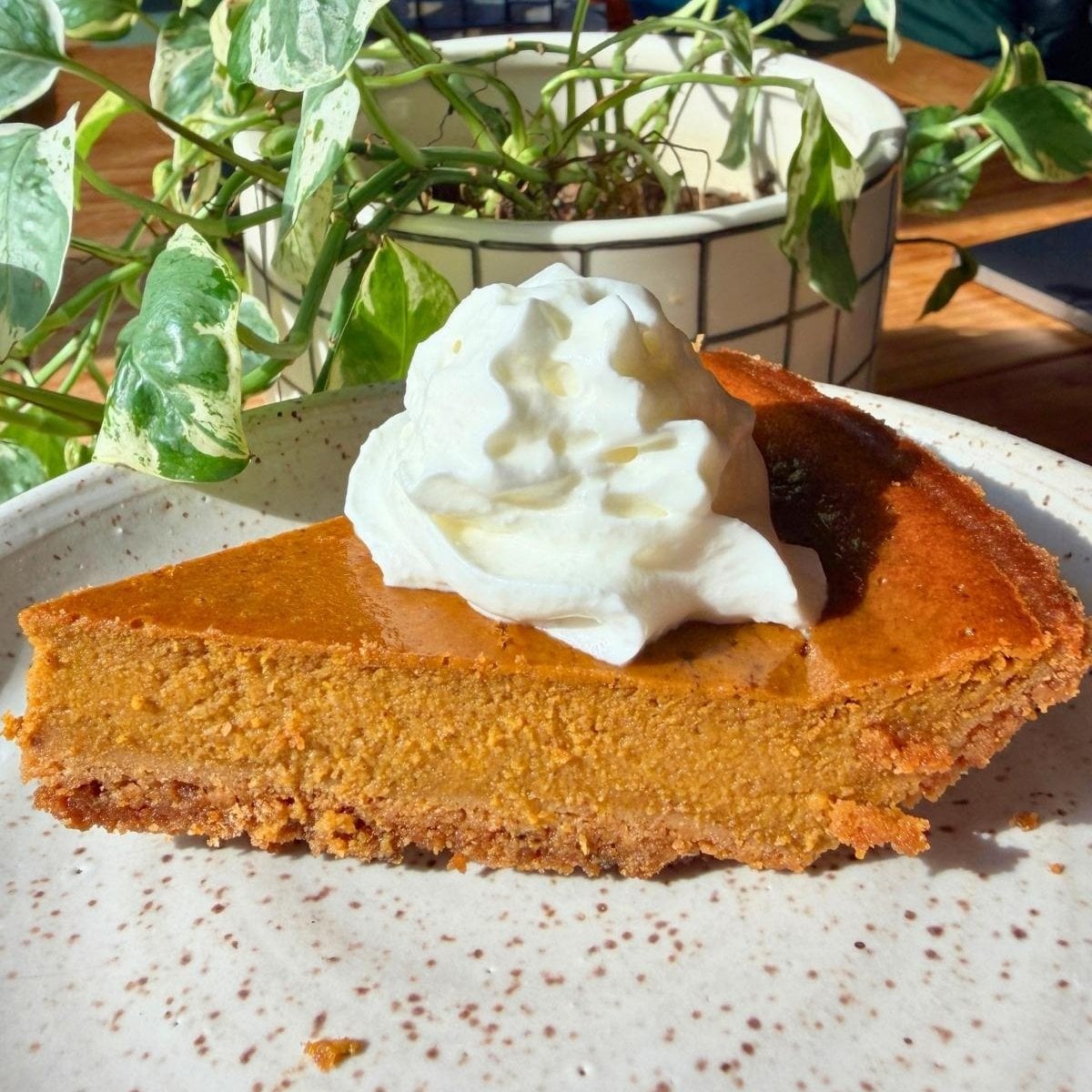 A piece of cottage cheese pumpkin pie on a white plate.