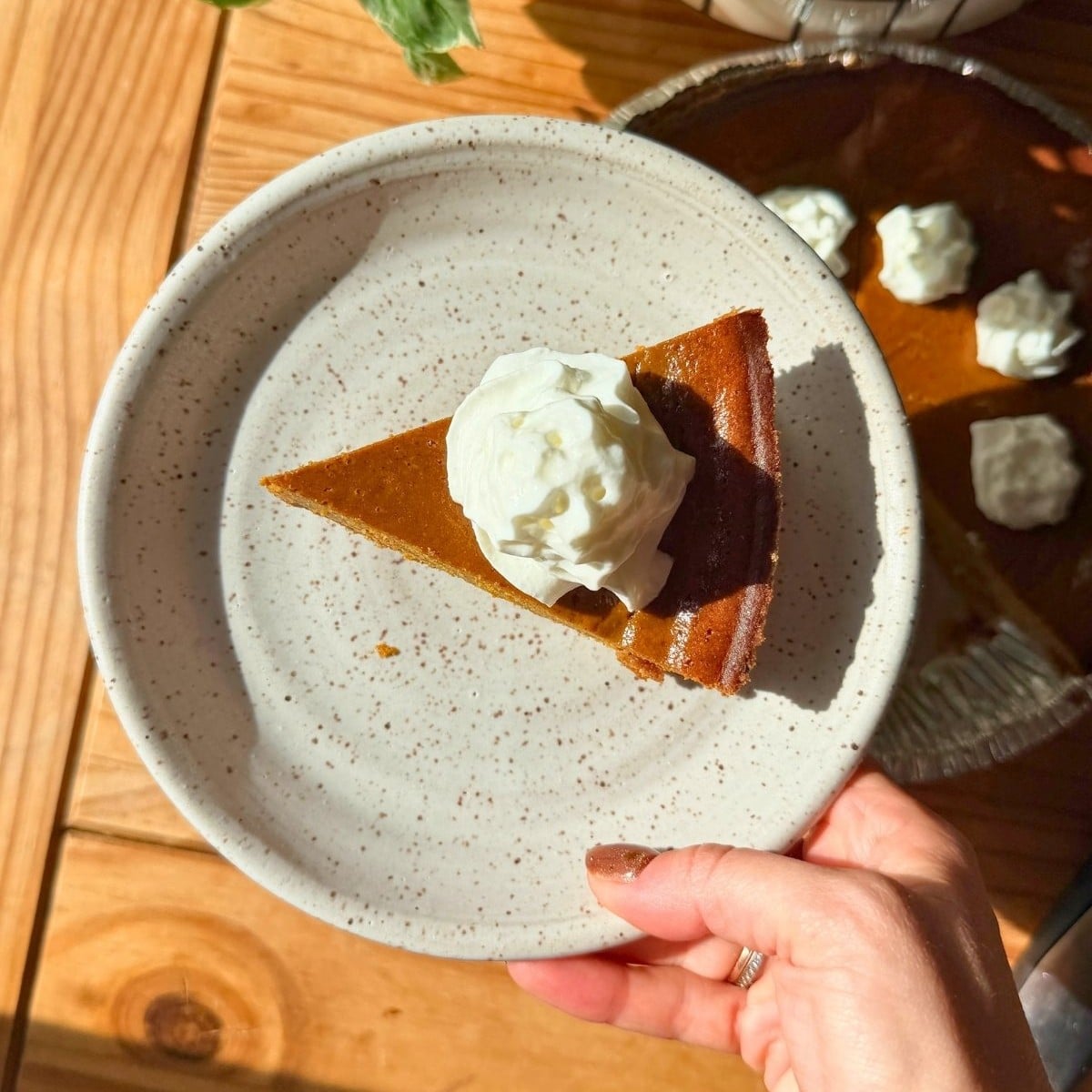 A piece of cottage cheese pumpkin pie on a white plate.